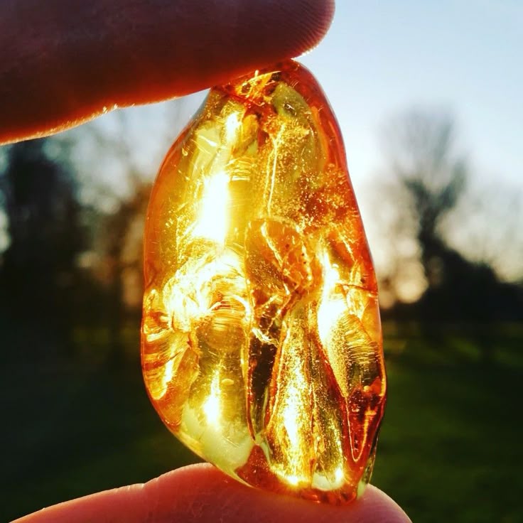 The Ancient Comfort of Amber