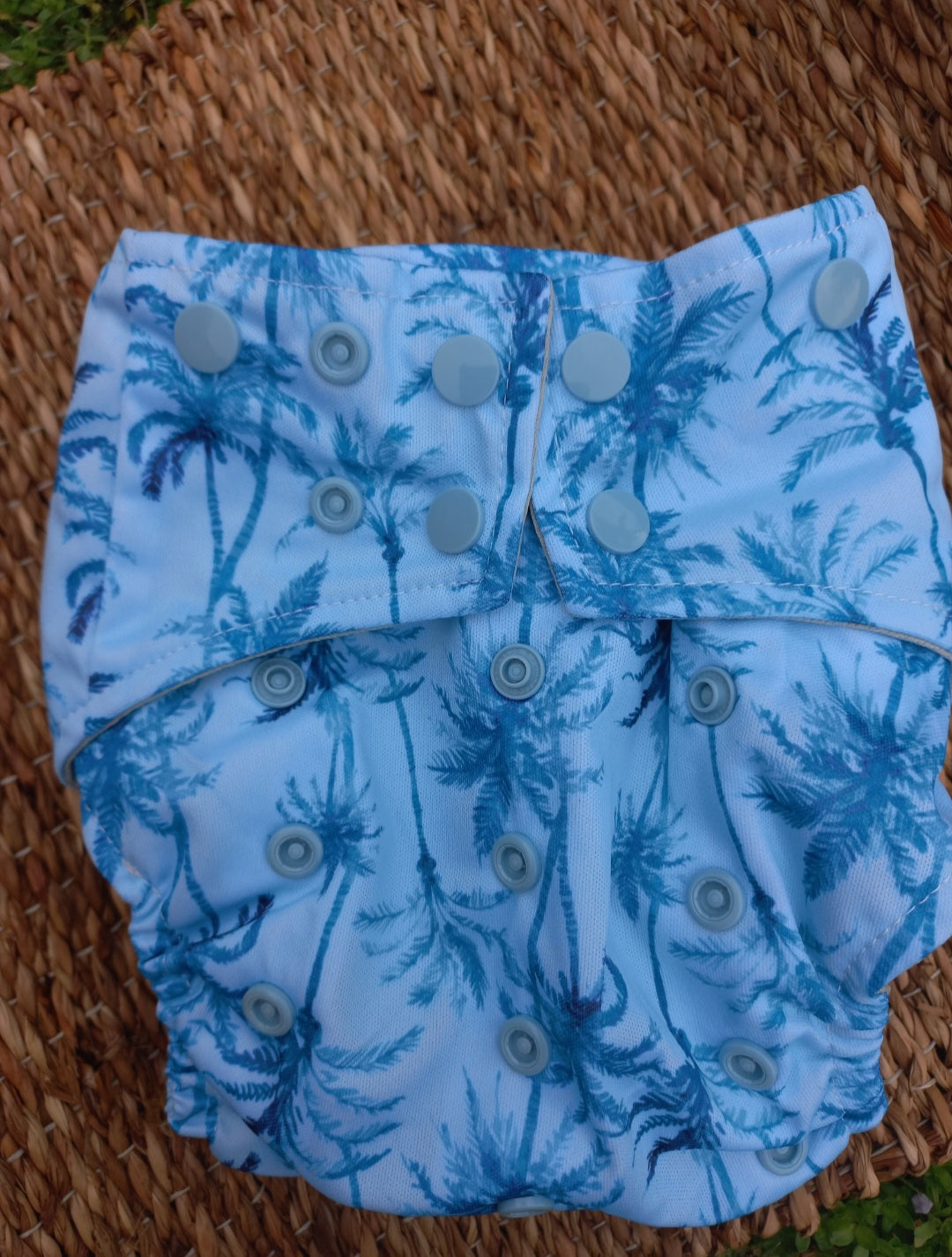 Coastal Palm Pocket System