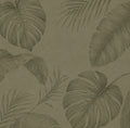 Shell Cover | Śānti