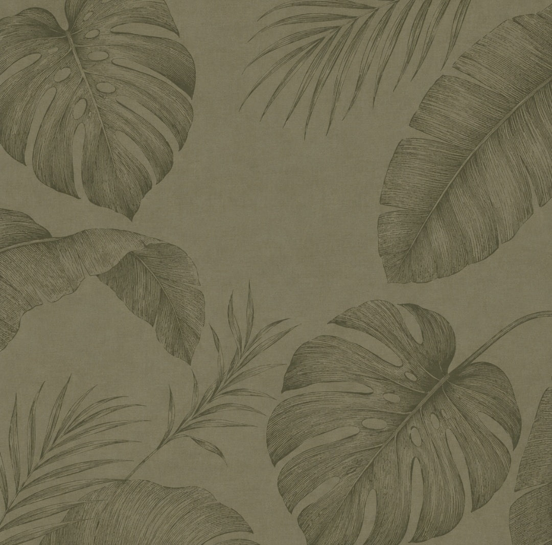 Shell Cover | Śānti