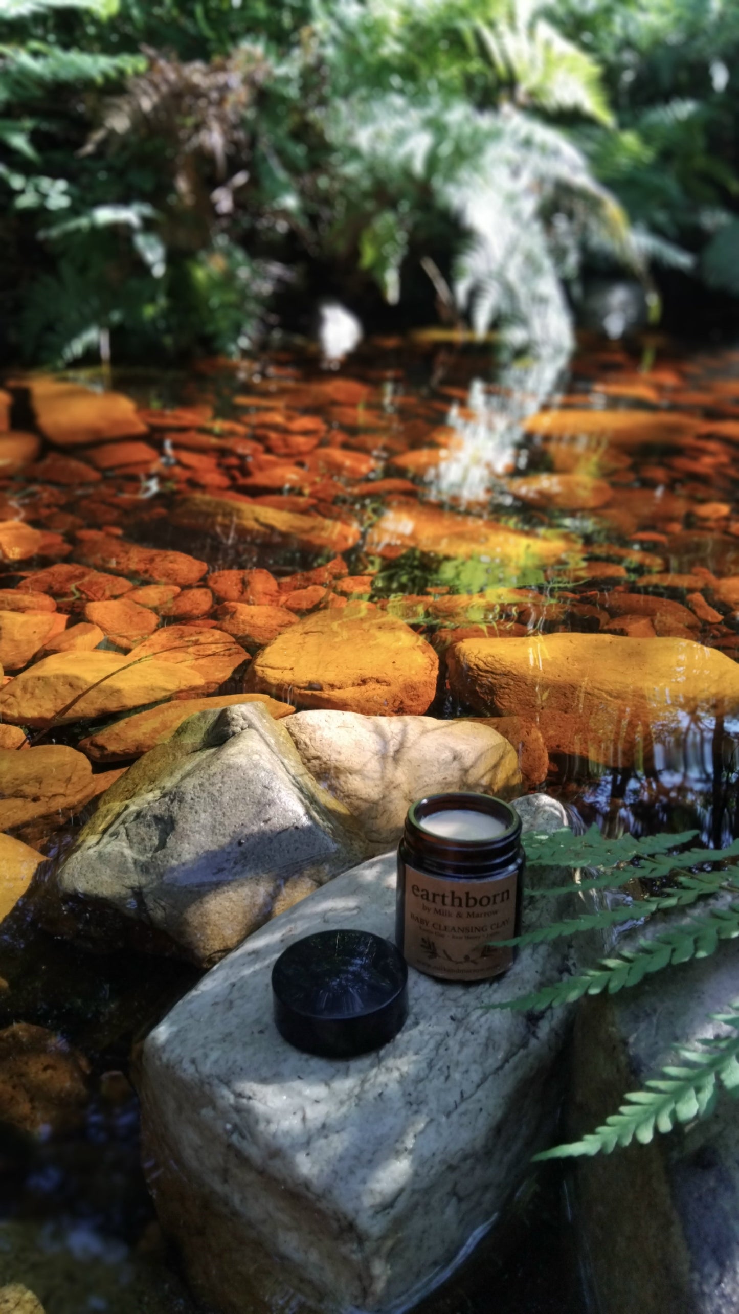 Earthborn Mama & Baby Clay Cleanse