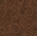 Shell Cover | Bhūmi