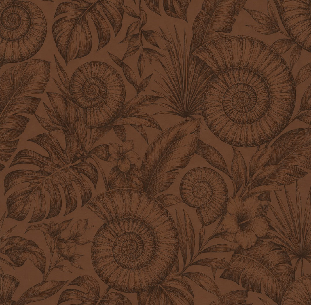 Shell Cover | Bhūmi