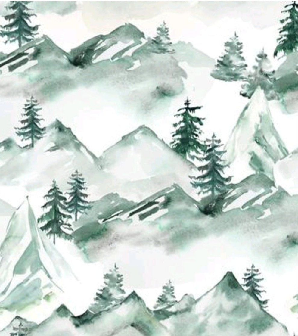 Alpine Origin Bamboo Charcoal Diaper + Insert